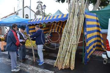 Día del Artesano y Labrador en Jinámar (Foto TA)